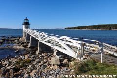 MarshallPointLight-455 6383-150-4