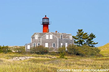 MonomoyPointLight-165 6519-150-4