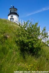 OwlsHeadLight-324 2500-150-4