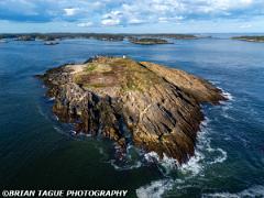 PondIslandLight-409 1019-150-4