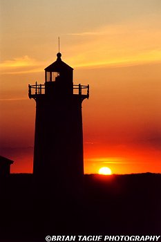 RacePointLight-115-31-150-4
