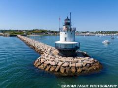 SpringPointLedgeLight-202409 1056-150-4