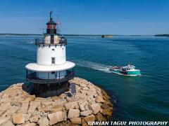 SpringPointLedgeLight-202409 1114-150-4