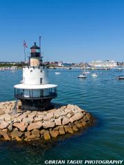 SpringPointLedgeLight-409 1062-crp1-150-4