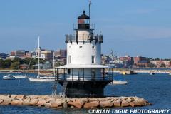 SpringPointLedgeLight-444 5822-150-4