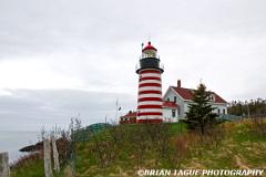 WestQuoddyHeadLight-433 5970-150-4