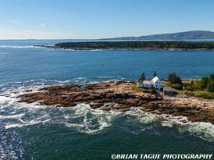 WinterHarborLight-509-1048-150-4